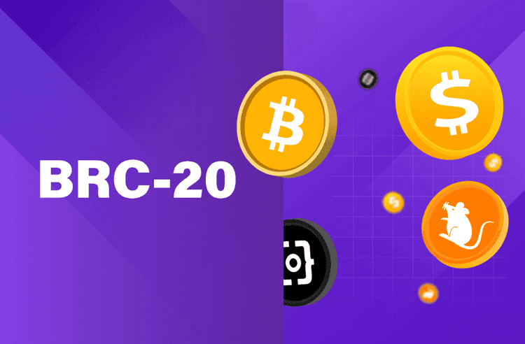 2024년 최고의 비트코인 ​​BRC20 프로젝트: 잠재력이 높은 투자 식별