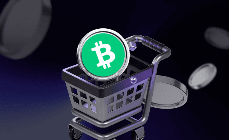 신용카드 또는 체크카드로 Bitcoin Cash (BCH) 즉시 구매