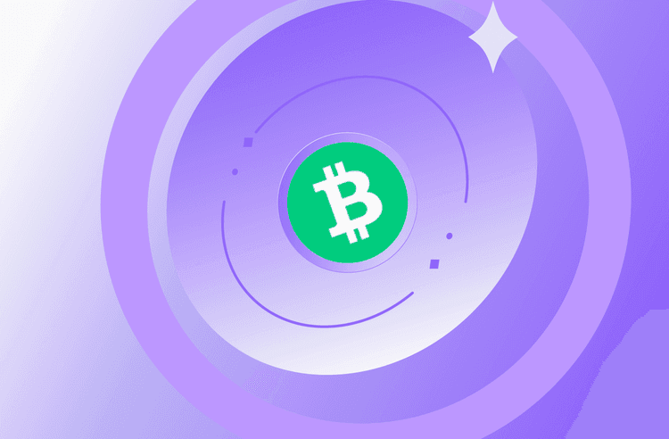 즉시 Bitcoin Cash (BCH)를 판매하는 완벽한 가이드: Bitcoin Cash를 빠르게 판매하는 방법