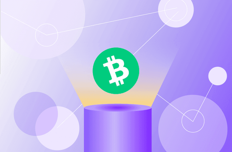 Bitcoin Cash 거래 방법 – 초보자 가이드 및 BCH 매매 팁