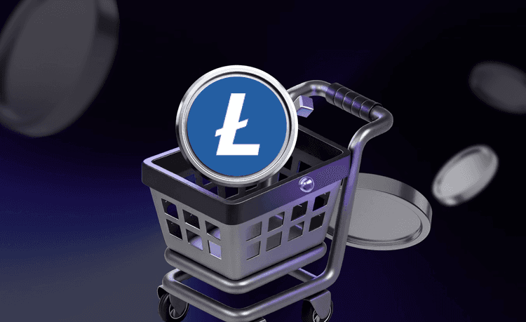 Litecoin 거래 방법 – 초보자 가이드 및 LTC 매매 팁